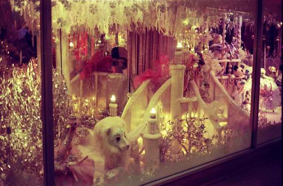 viewofthebluedotcom-05